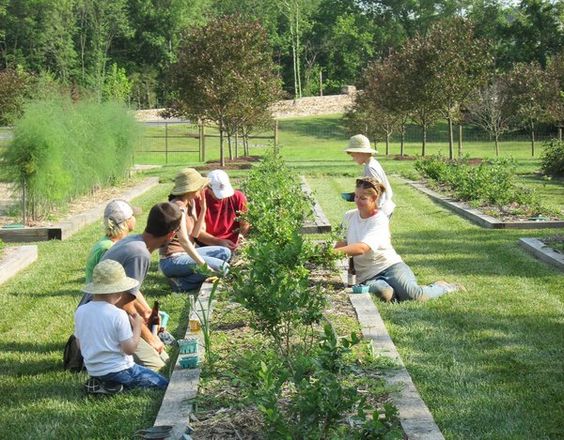 Landscape and Biodiversity Enhancements